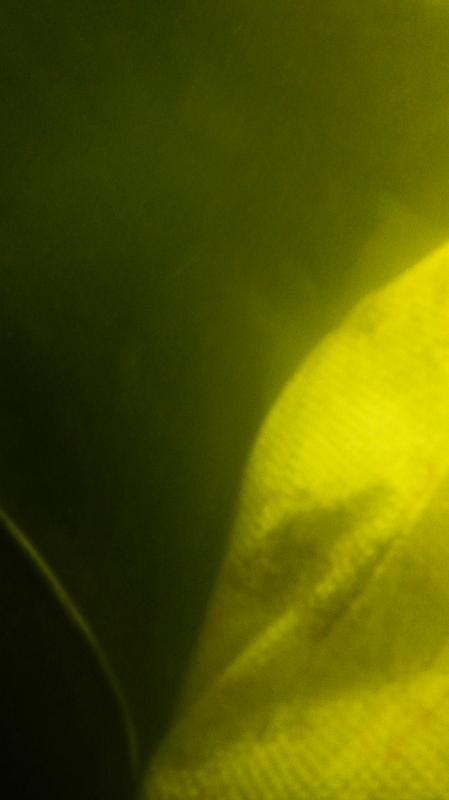 聚焦水下攝像：解鎖水下狀況